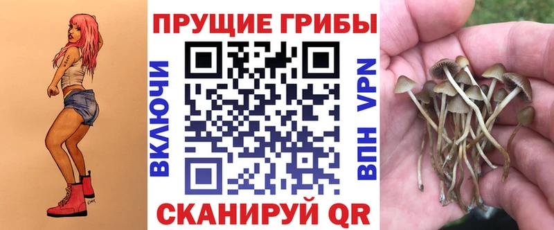 Псилоцибиновые грибы Magic Shrooms  Дмитриев 